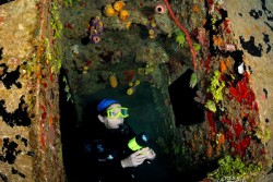 Roatan Aggressor Liveaboard - Honduras.